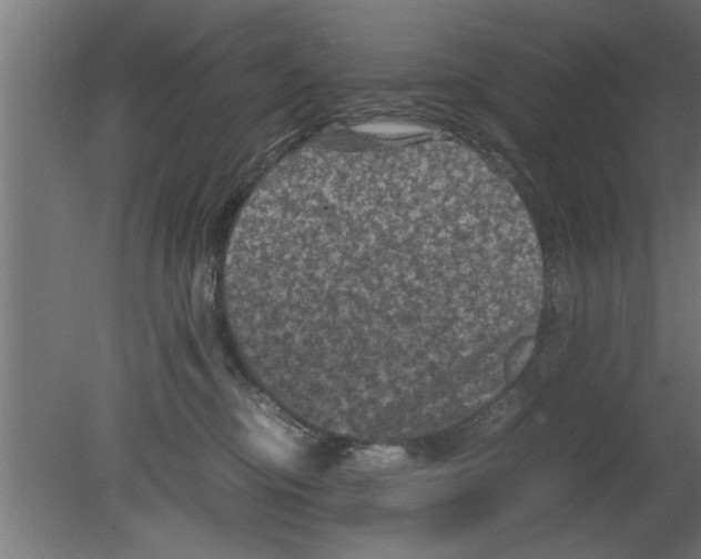 X0000080810374200701122247