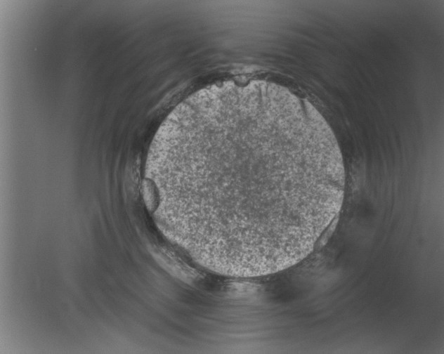 X0000080810376200701122247