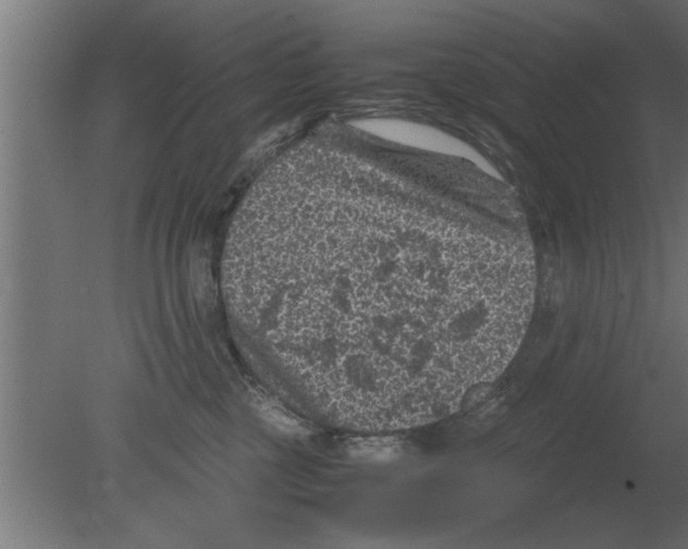 X0000080810377200701122247