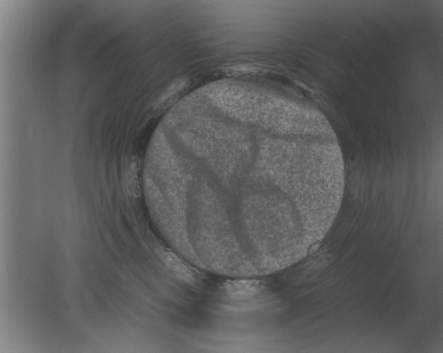 X0000080810378200701122247