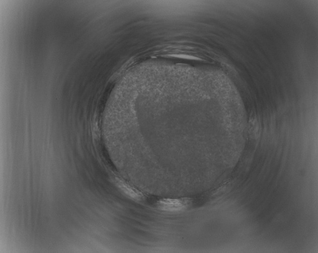 X0000080810381200701122247