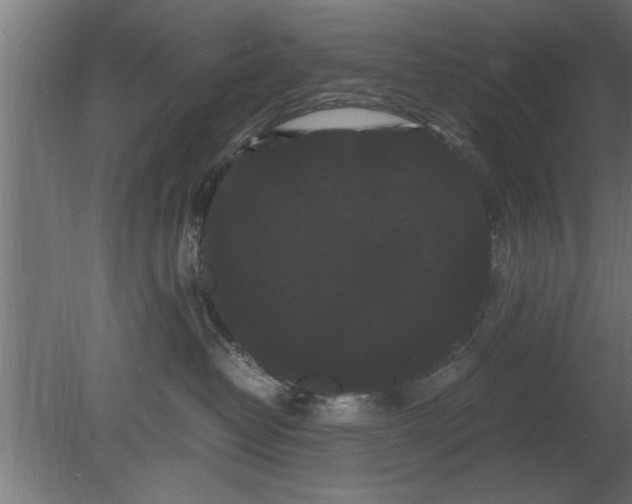 X0000080810382200701122247