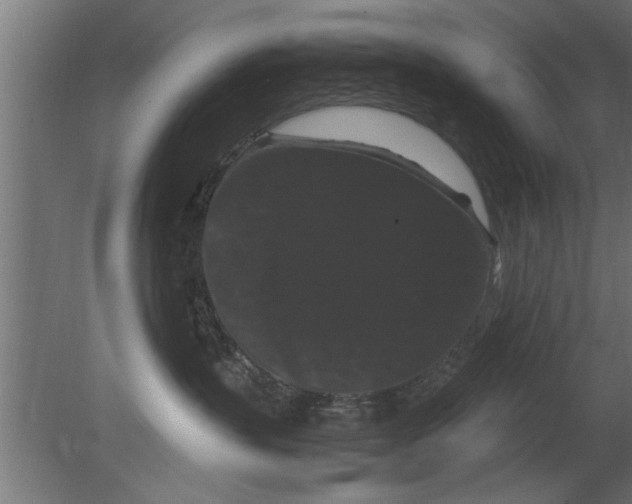 X0000080810383200701122247