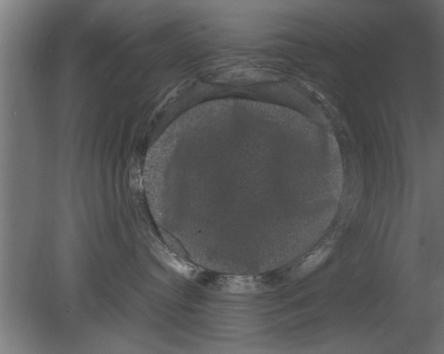 X0000080810384200701122247