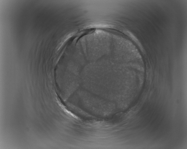 X0000080810385200701122246