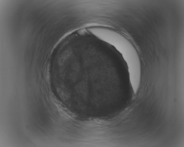 X0000080810387200701122246