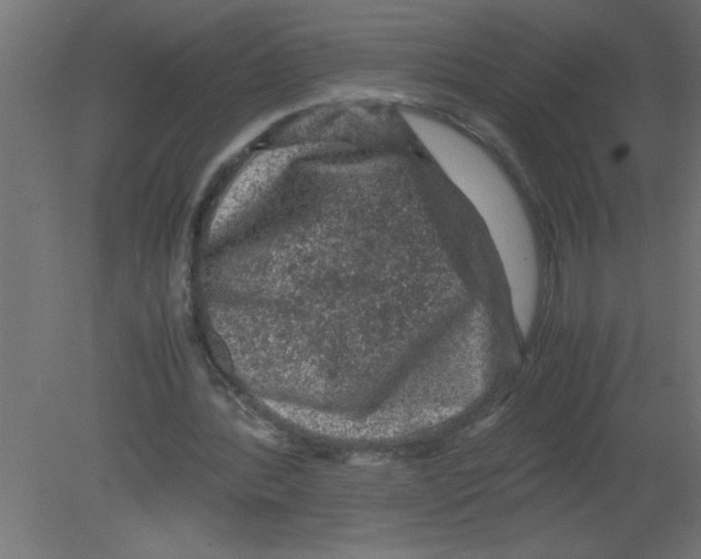 X0000080810388200701122246