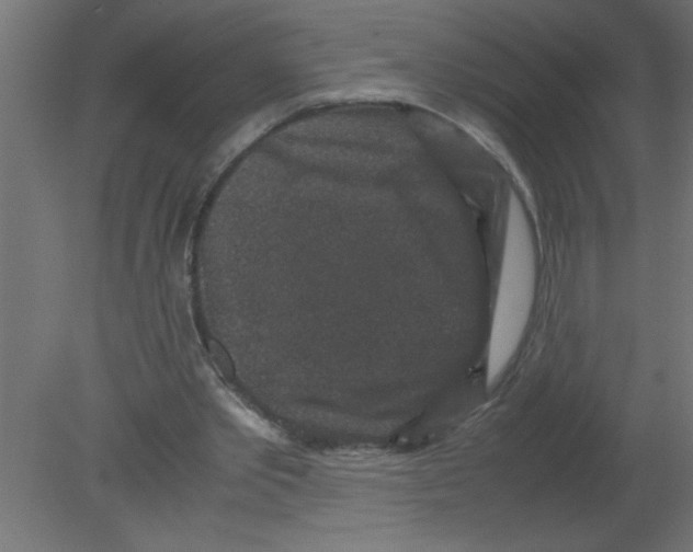 X0000080810389200701122246