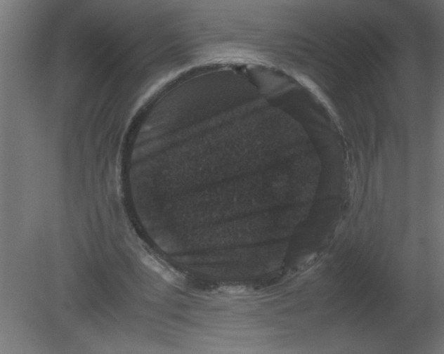 X0000080810391200701122246