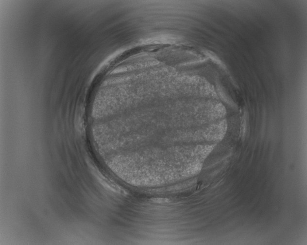 X0000080810392200701122246