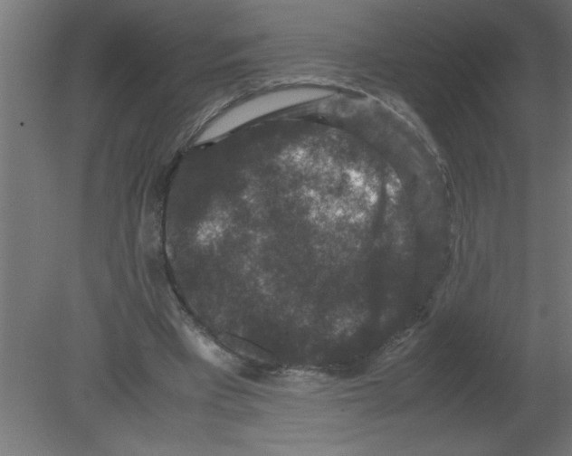 X0000080810393200701122246