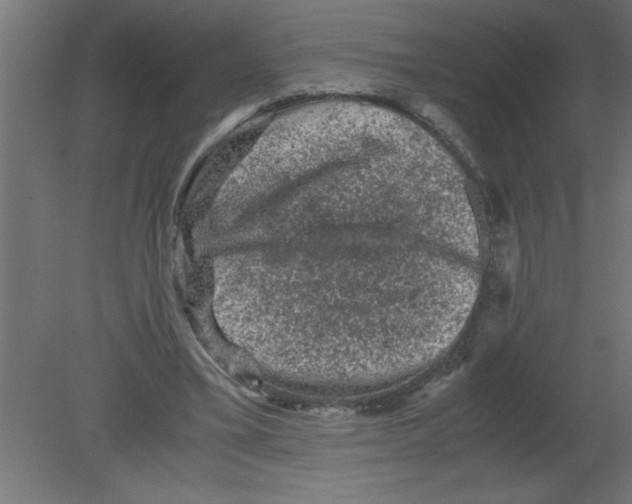 X0000080810395200701122246