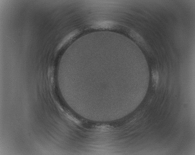 X0000080810396200701122246