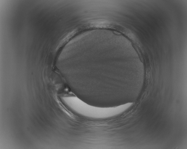 X0000080810397200701122246