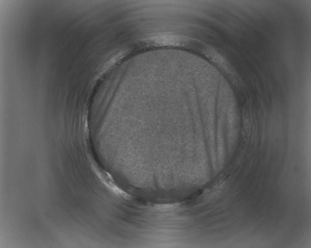 X0000080810398200701122246