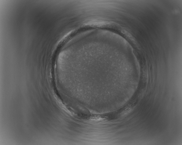 X0000080810399200701122246