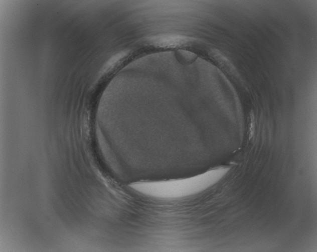 X0000080810400200701122246