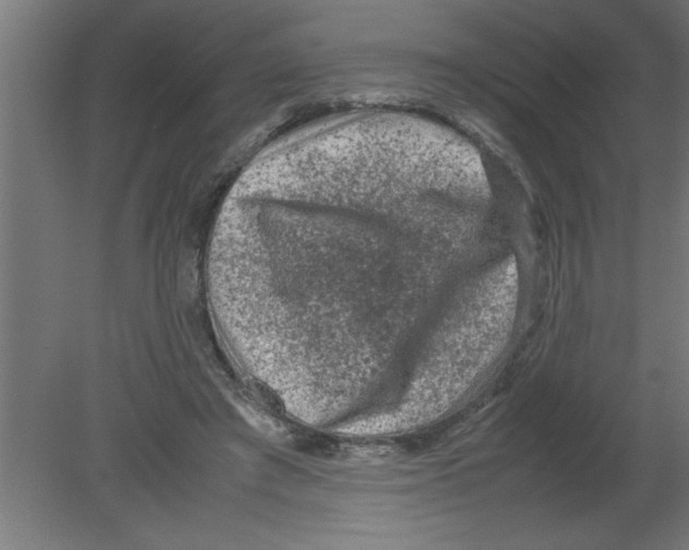 X0000080810401200701122246