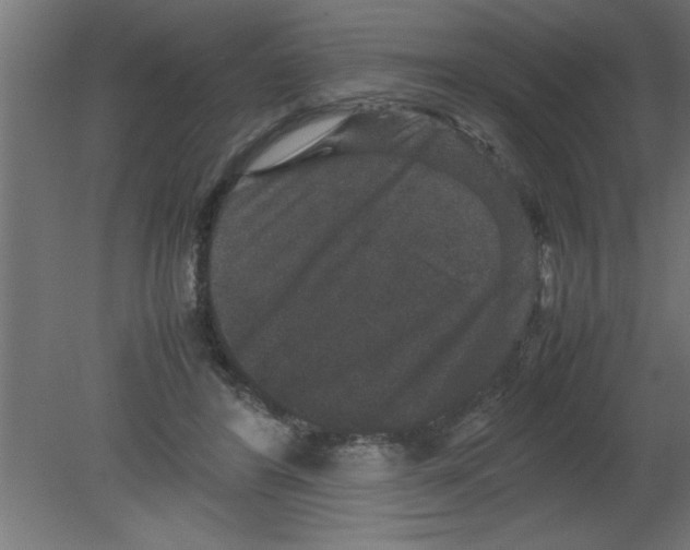 X0000080810404200701122246