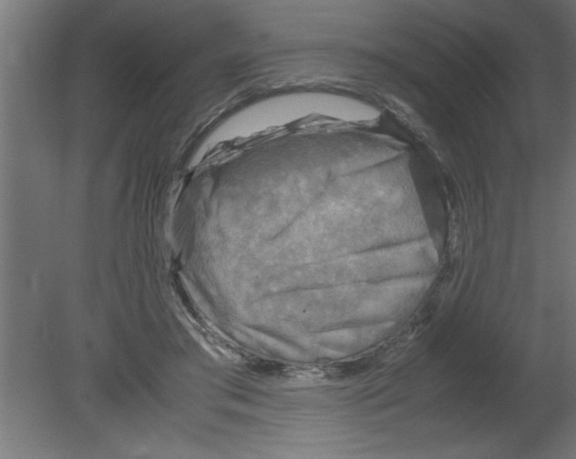 X0000080810405200701122246