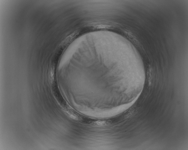 X0000080810406200701122246