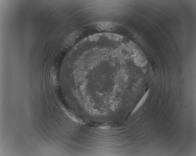 X0000080810408200701122246