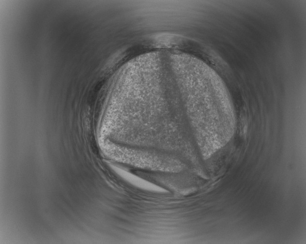 X0000080810413200701122246