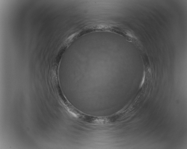 X0000080810415200701122246