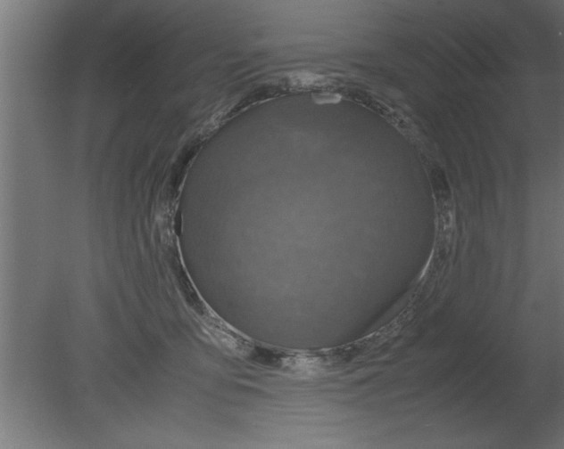 X0000080810419200701122246