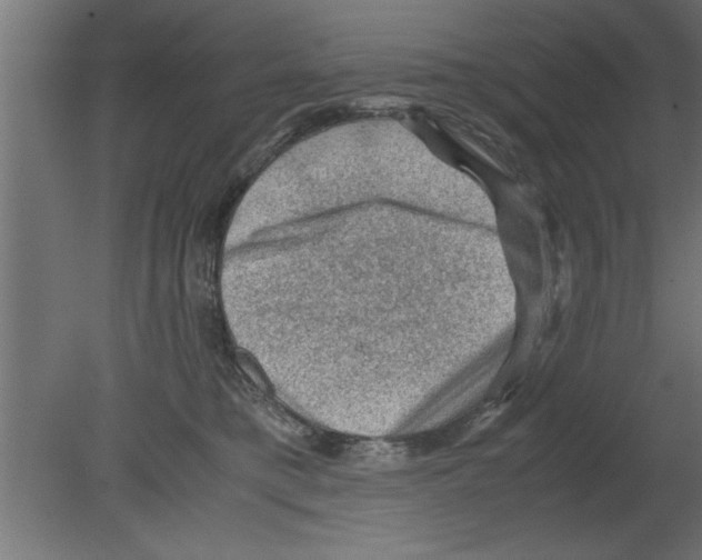 X0000080810421200701122246