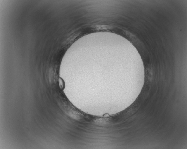 X0000080810422200701122246