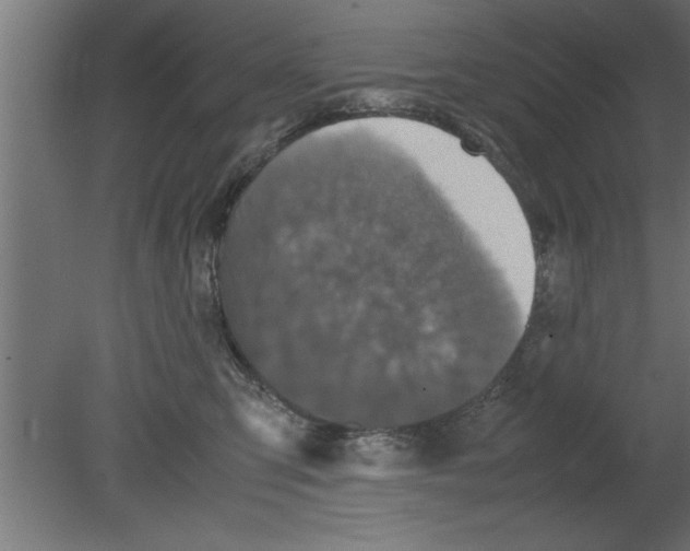 X0000080810423200701122246