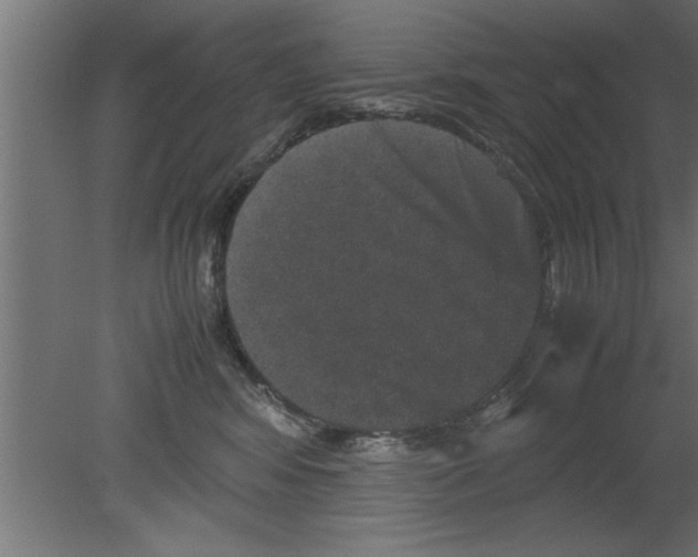 X0000080810424200701122246