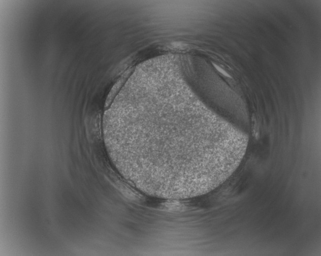 X0000080810425200701122246