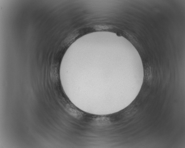 X0000080810426200701122246