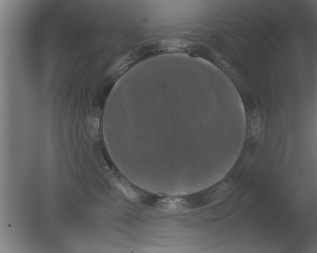 X0000080810427200701122246