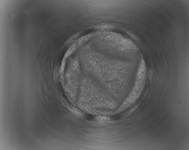 X0000080810429200701122246