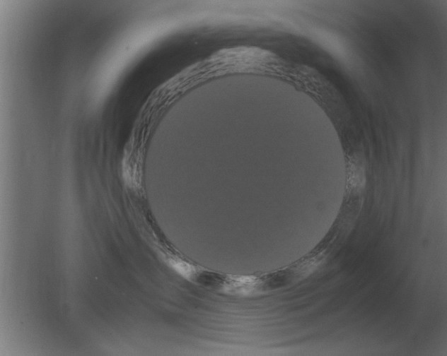 X0000080810431200701122246