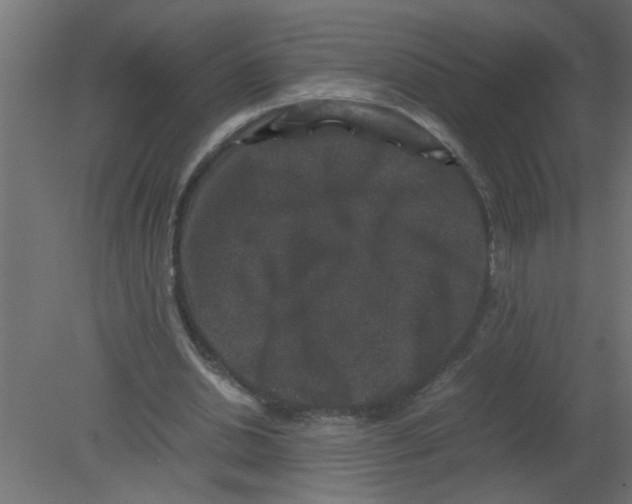 X0000080810438200701122245