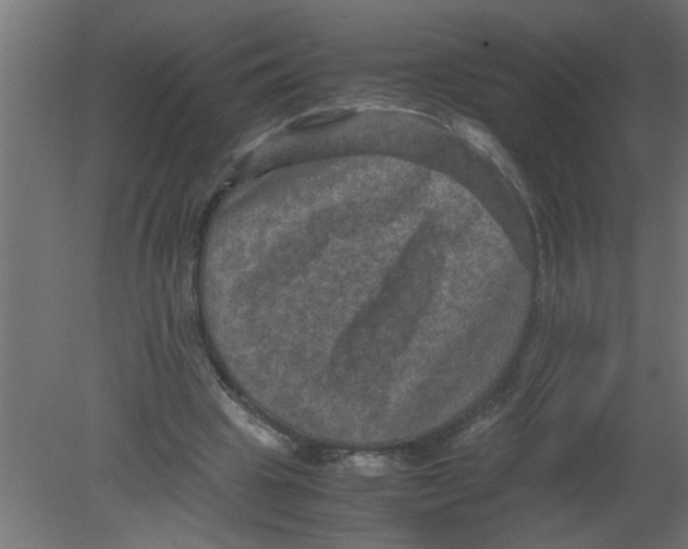 X0000080810441200701122245