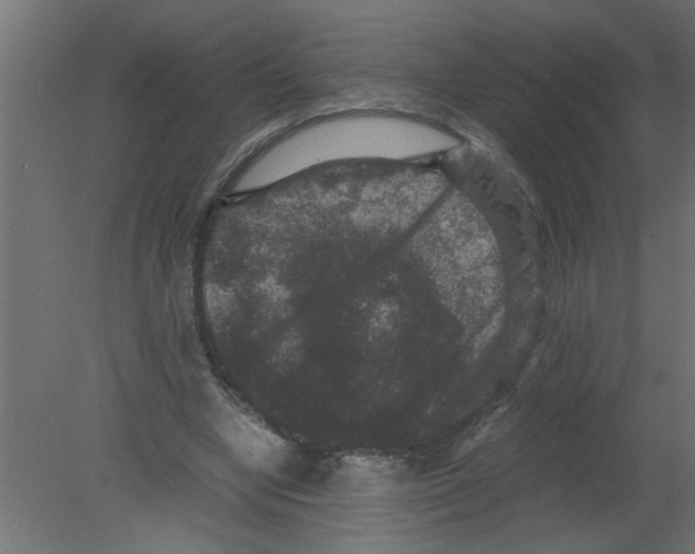 X0000080810442200701122245