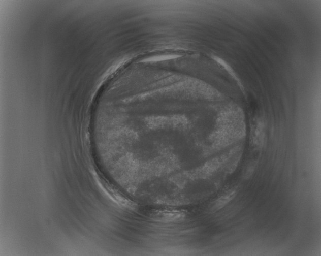 X0000080810443200701122245