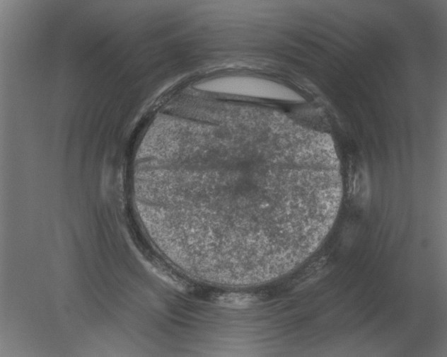 X0000080810444200701122245