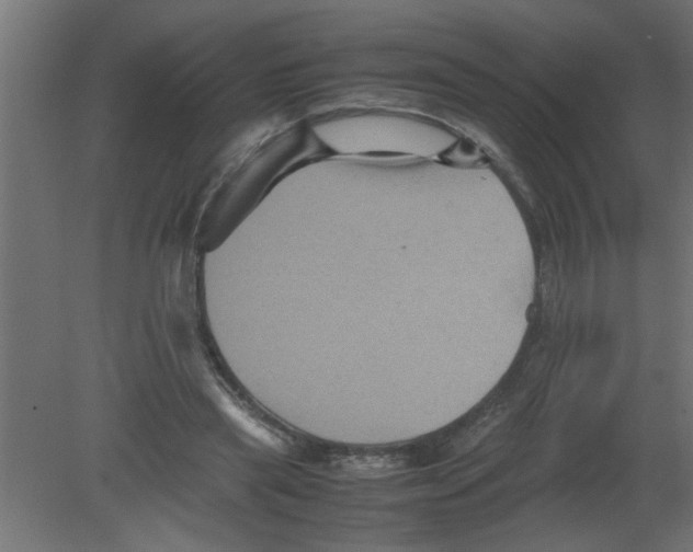 X0000080810445200701122245