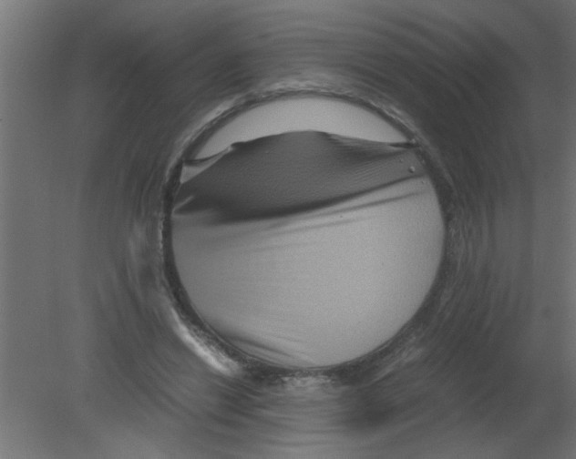 X0000080810446200701122245