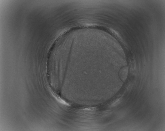 X0000080810447200701122245