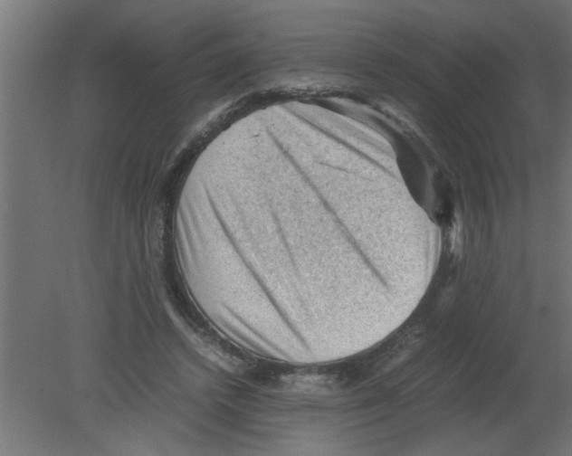 X0000080810448200701122245