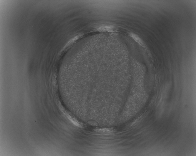 X0000080810449200701122245