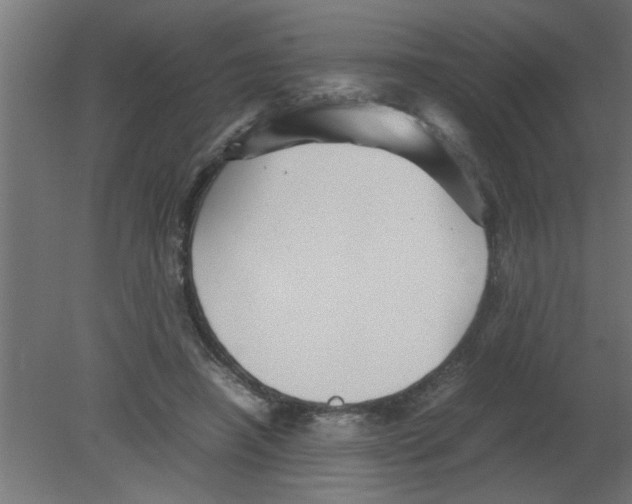 X0000080810450200701122245