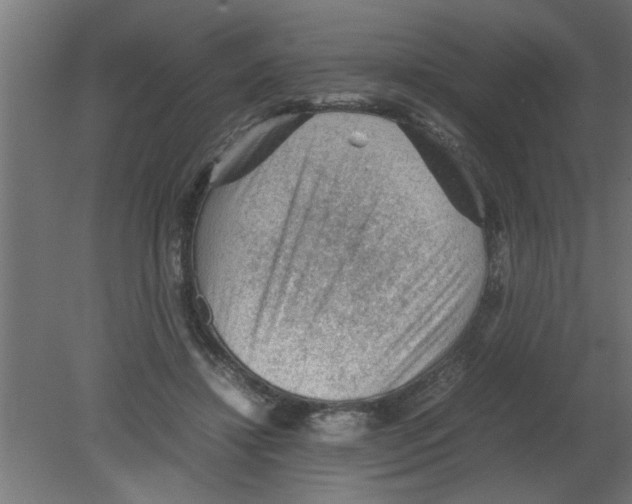 X0000080810452200701122245